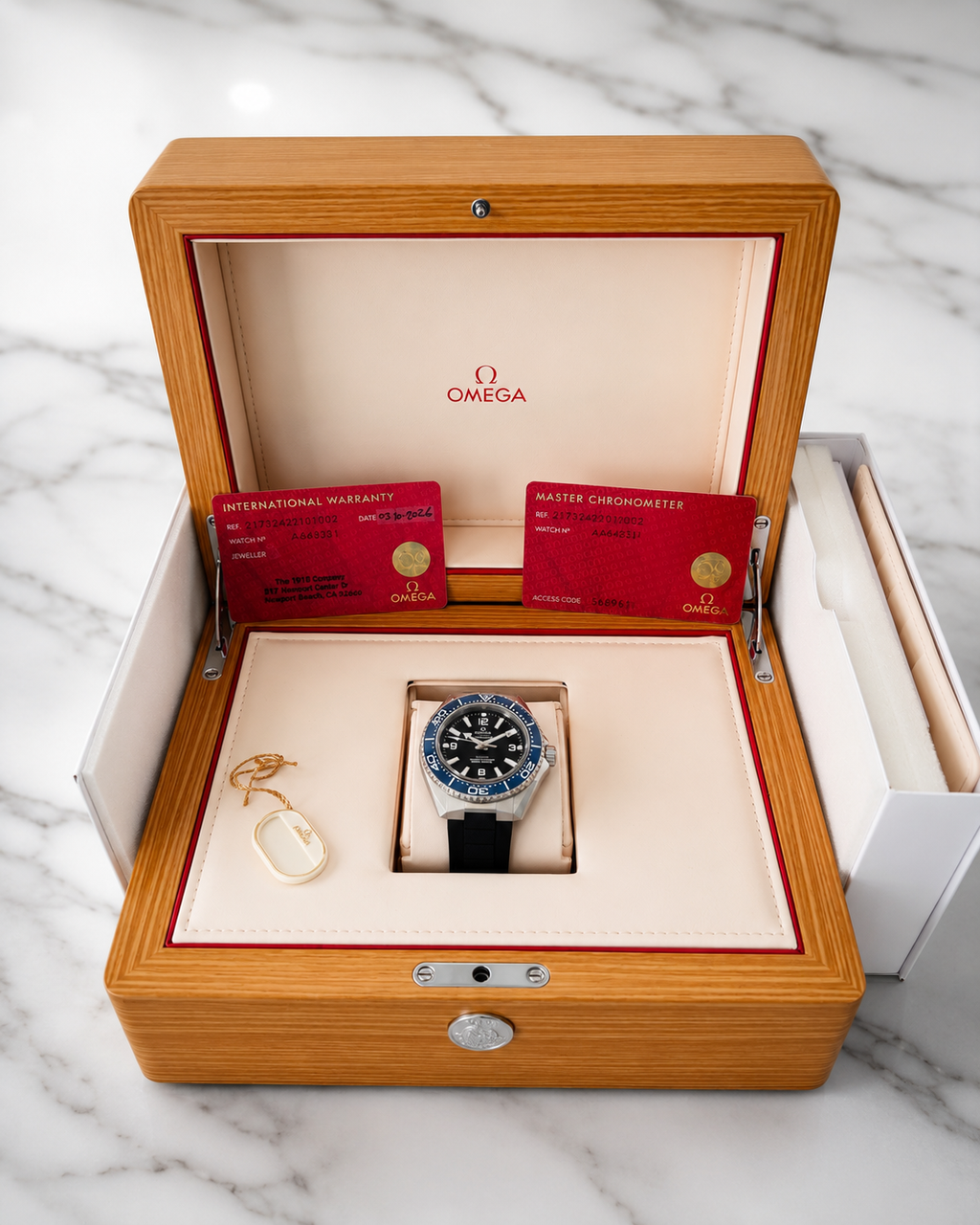 Omega Seamaster Planet Ocean 600M