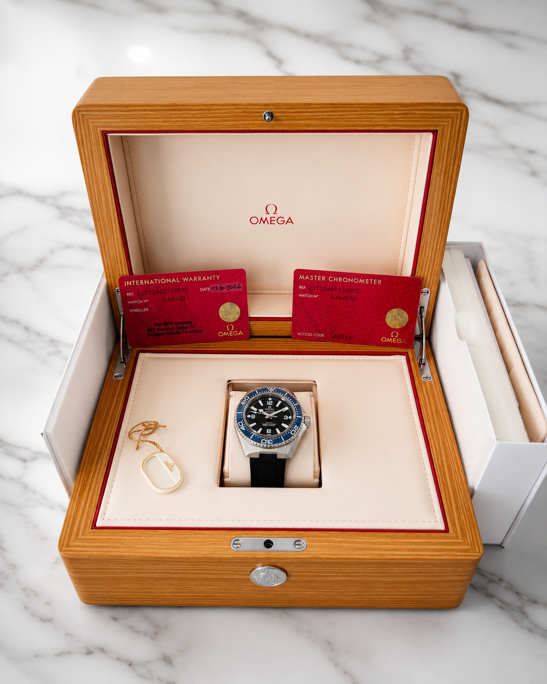Omega Seamaster Planet Ocean 600M