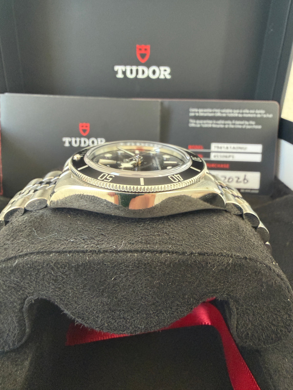 Tudor Black Bay 41 Monochrome