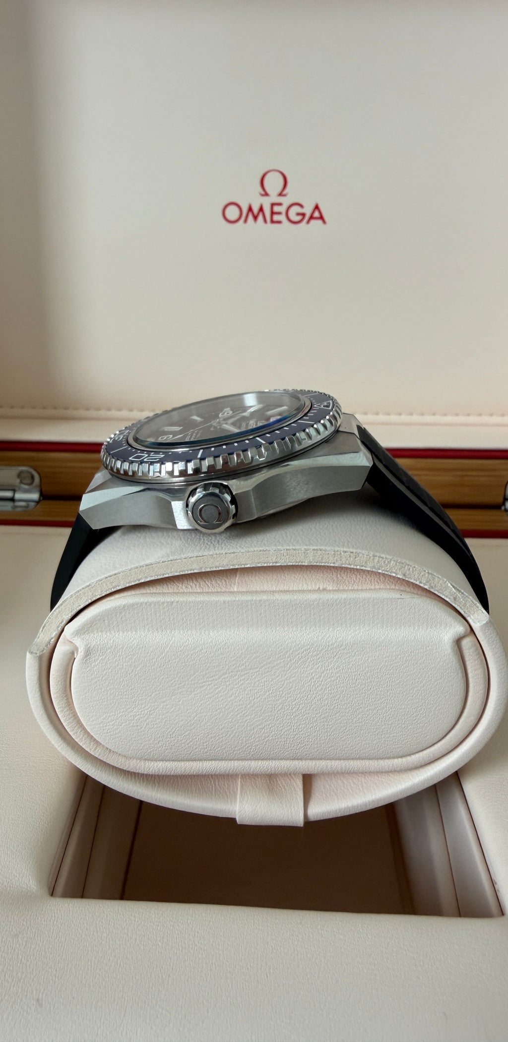 Omega Seamaster Planet Ocean 600M