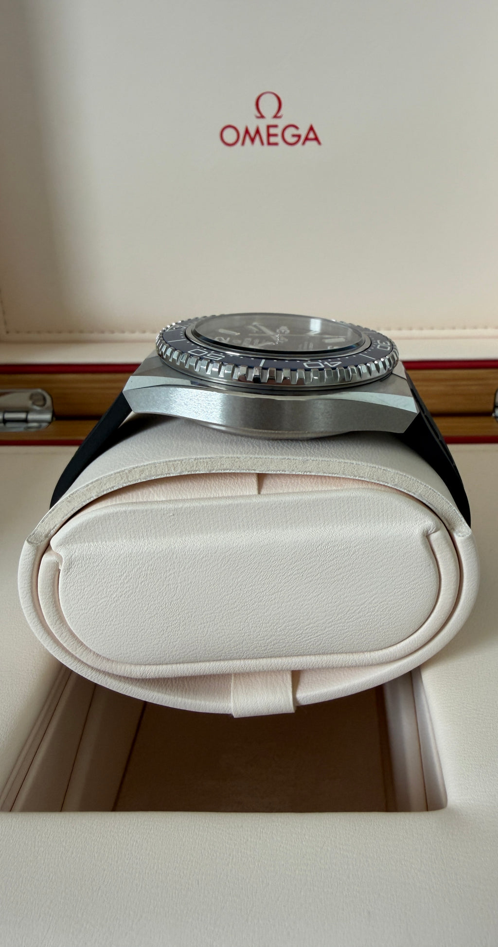 Omega Seamaster Planet Ocean 600M