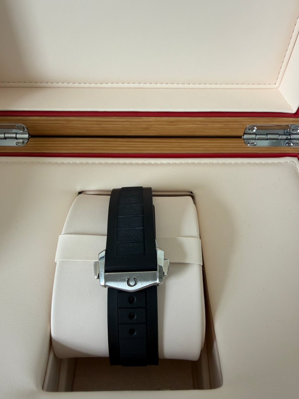Omega Seamaster Planet Ocean 600M