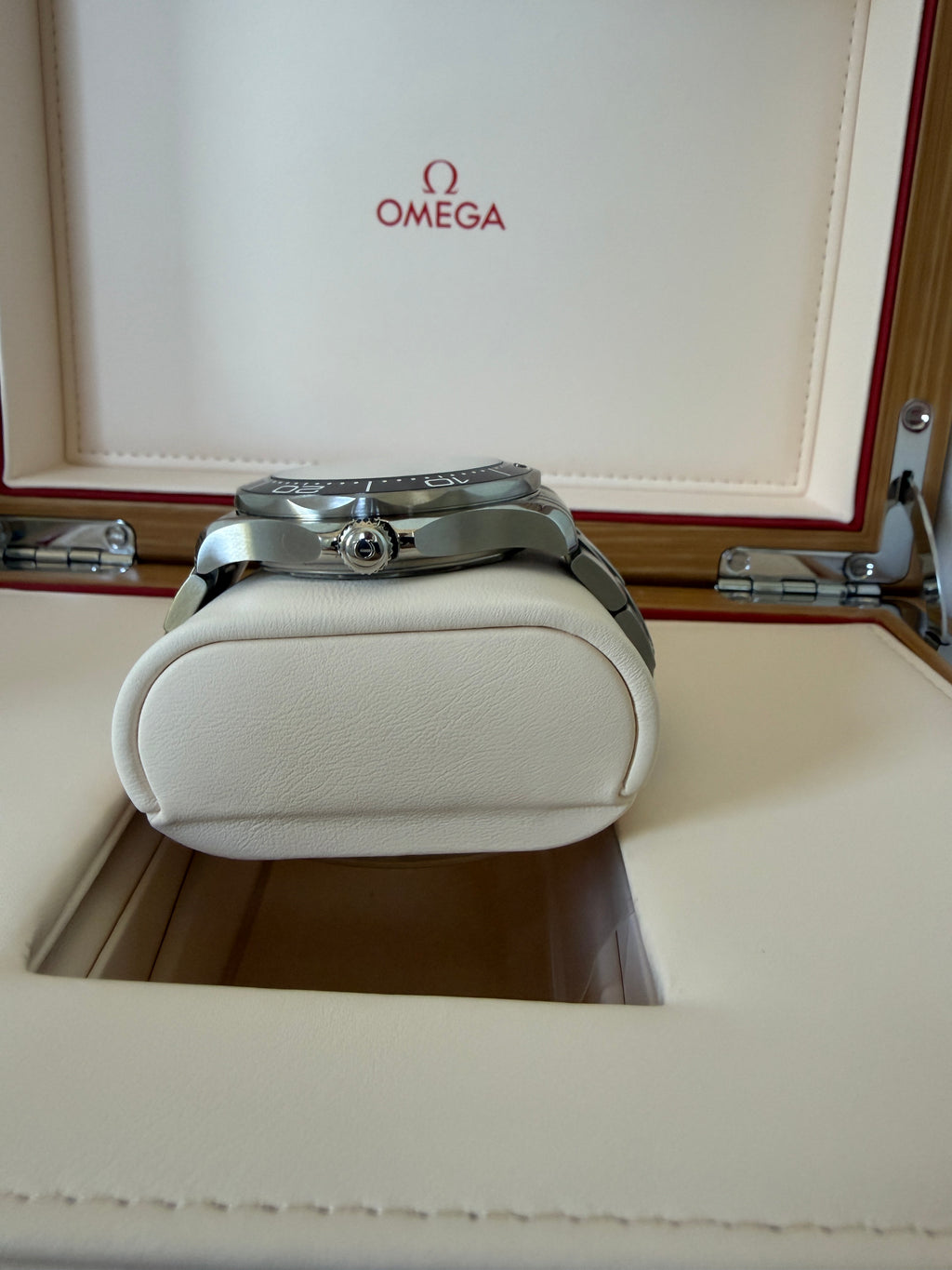 Omega Seamaster Diver 300M