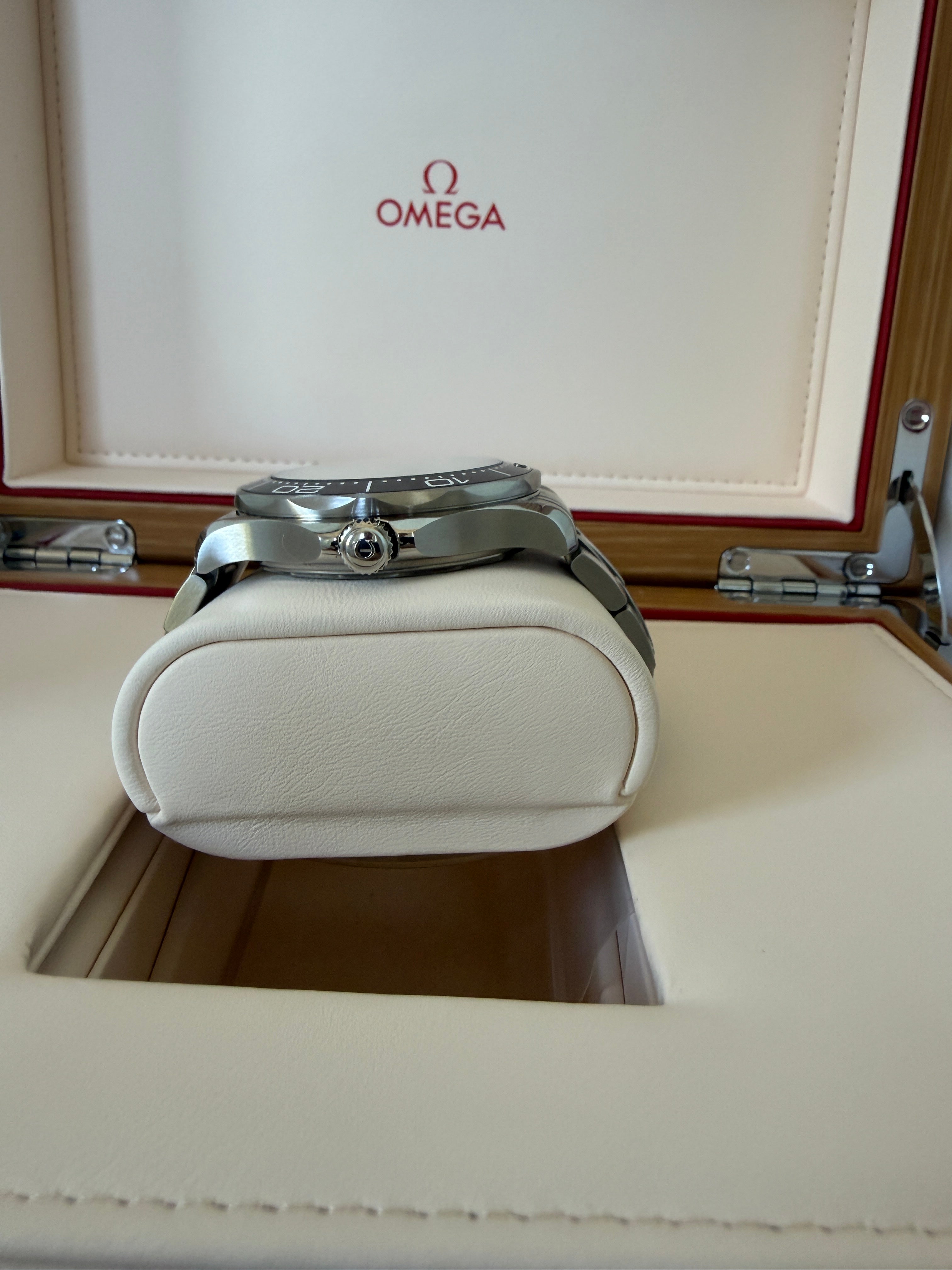 Omega Seamaster Diver 300M